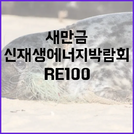 새만금서 RE100 미래 연다 신재생에너지 박람회