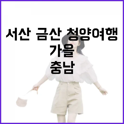 가을 충남 서산·금산·청양 여행 가이드