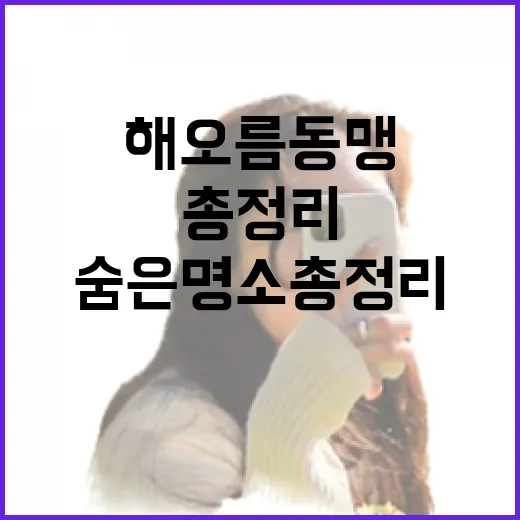 해오름동맹 숨은 명소 총정리