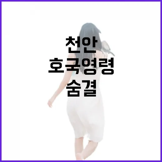 천안 보훈공원, 호국영령의 숨결을 느끼다