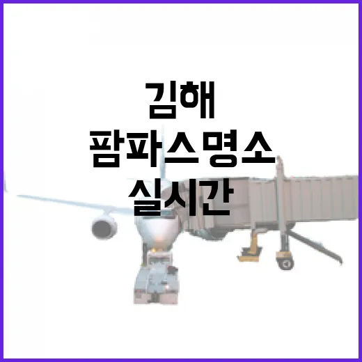 김해 가을 팜파스 명소 실시간 안내