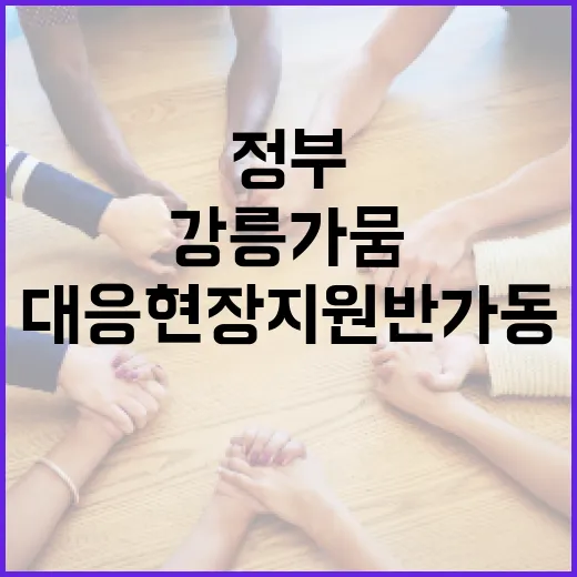 강릉 가뭄, 정부 총력 대응 현장지원반 가동