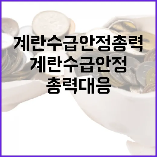 추석 계란 수급 안정 총력 대응