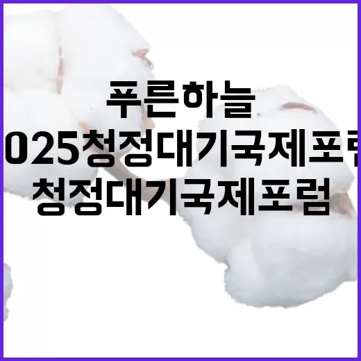 푸른 하늘 지키는 2025 청정대기 국제포럼