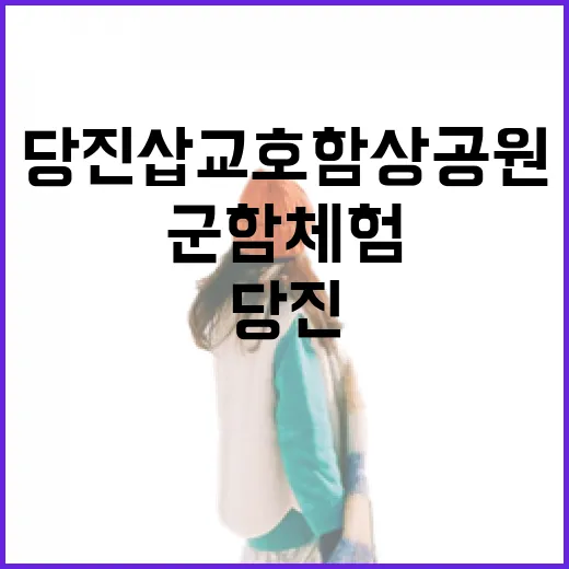 당진 삽교호 함상공원, 군함 체험의 장