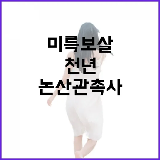 논산 관촉사, 천년의 미륵보살과 함께하는 신성한 여정