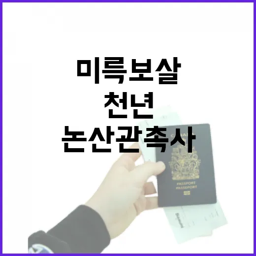 논산 관촉사, 천년의 미륵보살과 전통의 숨결
