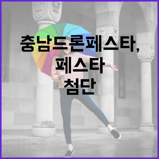 충남 드론 페스타, 첨단과 축제의 만남