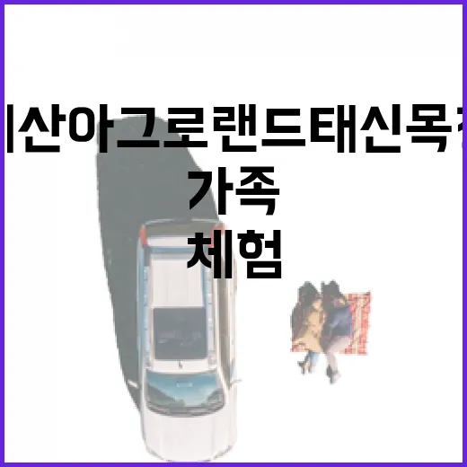예산 아그로랜드 태신목장 가족 체험 명소