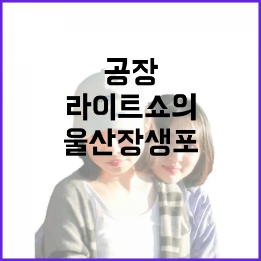 울산 장생포, 공장 야경과 라이트쇼의 환상 조화