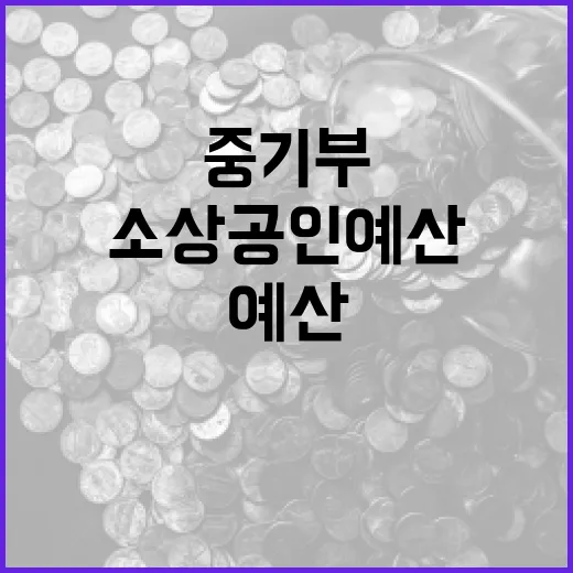 중기부, 2026년 소상공인 예산 2.5% 증액 확정
