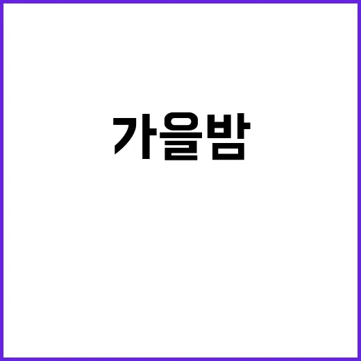 가을밤 도심서 즐기는 반딧불이 독서 뜰