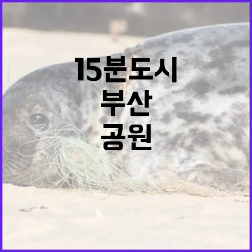 부산 15분도시 공원 정보 한눈에