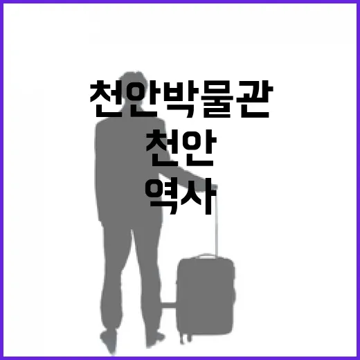 천안박물관 재개장, 지역 역사 깊이 체험