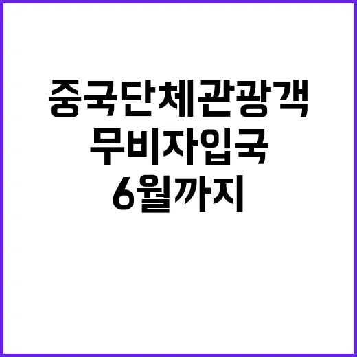 중국 단체관광객 무…