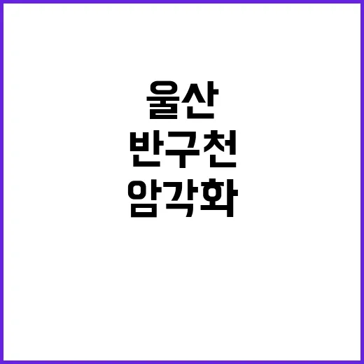 울산 반구천 암각화, 세계유산 52년의 기록