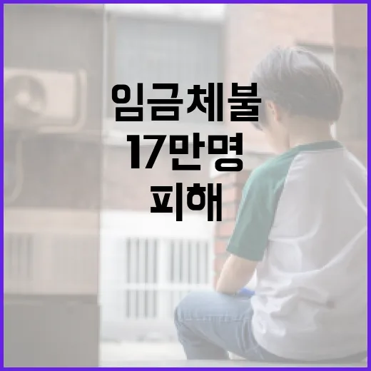 임금체불 피해 17만명, 절반은 수도권 집중