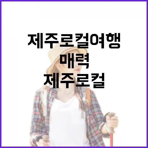 일상 속 제주 로컬 여행의 매력