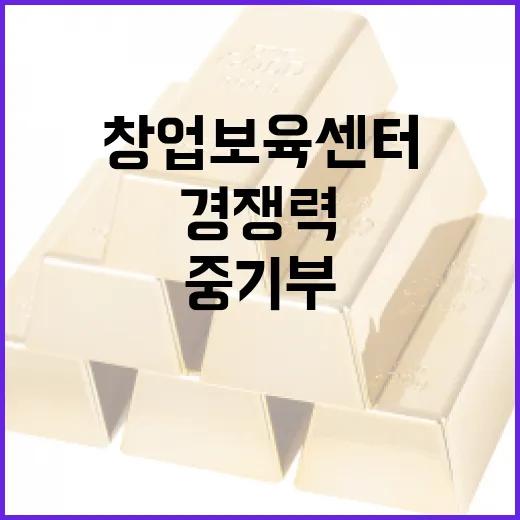 중기부, 창업보육센터 경쟁력 강화 나선다
