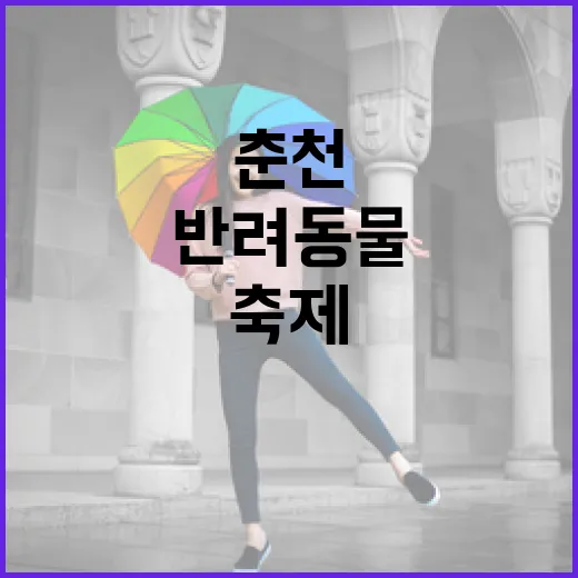 춘천 가을, 반려동물과 술 축제 풍성