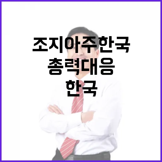 외교부, 미 조지아주 한국 기업 단속에 총력 대응