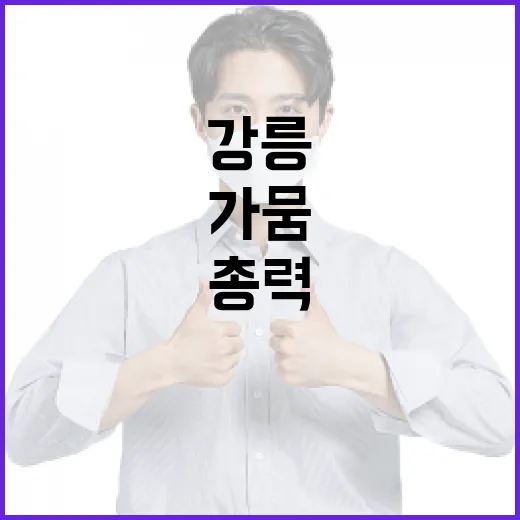 강릉 가뭄 위기, …