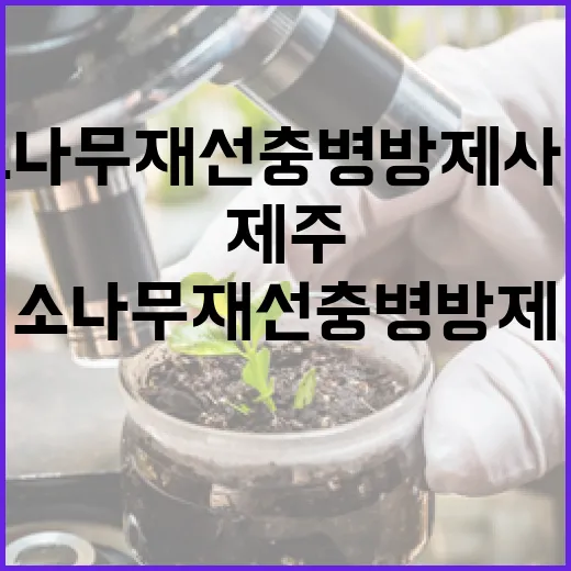 제주 소나무재선충병 방제사업 본격화