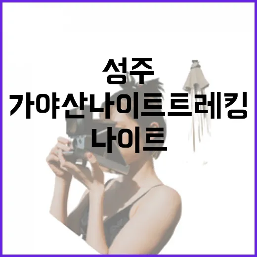 성주 가야산 나이트 트레킹 특별 체험