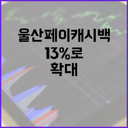 울산페이 캐시백 13%로 대폭 확대