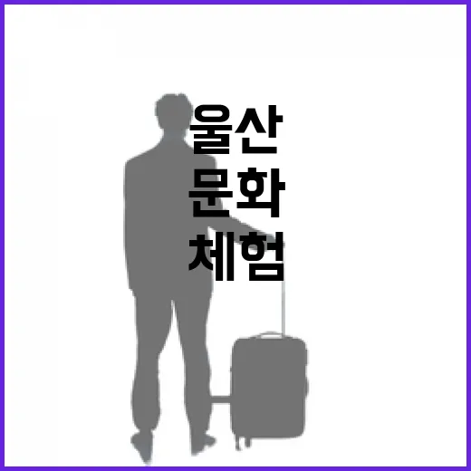울산 큰애기집, 아이와 함께하는 문화 체험 명소