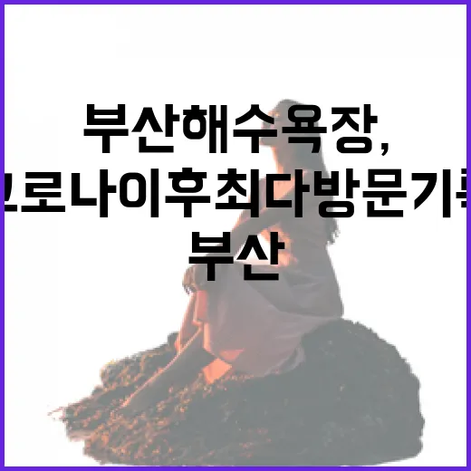 부산 해수욕장, 코로나 이후 최다 방문 기록