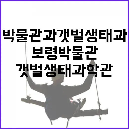 보령 박물관과 갯벌생태과학관 탐방기