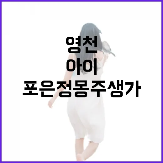 영천 포은정몽주생가, 아이와 함께하는 역사 체험