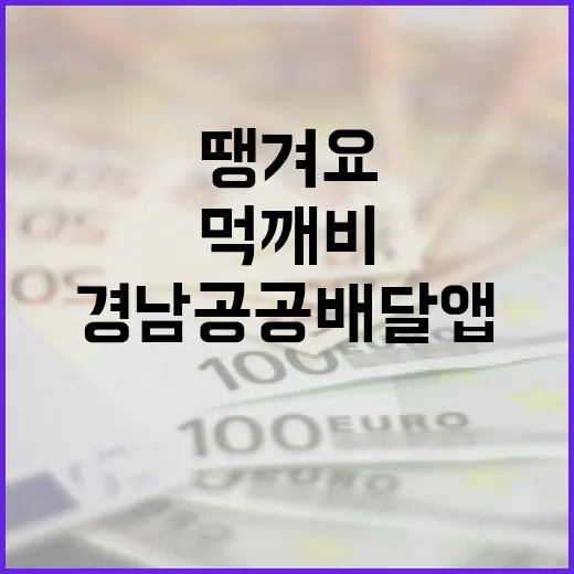 경남 공공배달앱 땡겨요·먹깨비 본격 가동