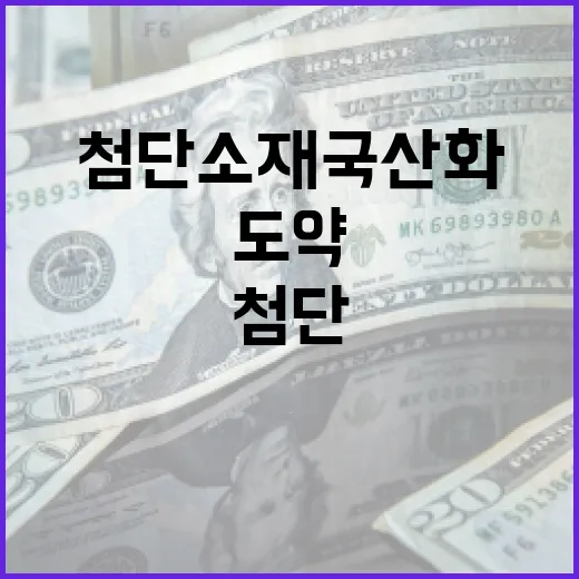 첨단소재 국산화로 경제 도약 시동