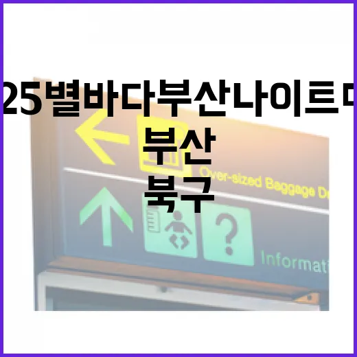 2025 별바다부산 나이트마켓과 북구 맛집 탐방