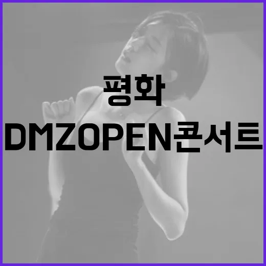 평화의 선율, DMZ OPEN 콘서트 현장
