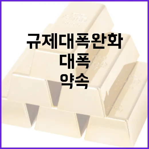김 총리, 반도체 공장 규제 대폭 완화 약속