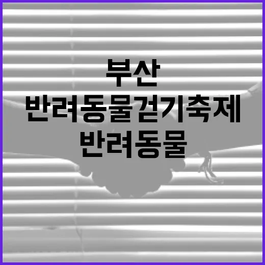 부산서 반려동물 걷기 축제 열린다
