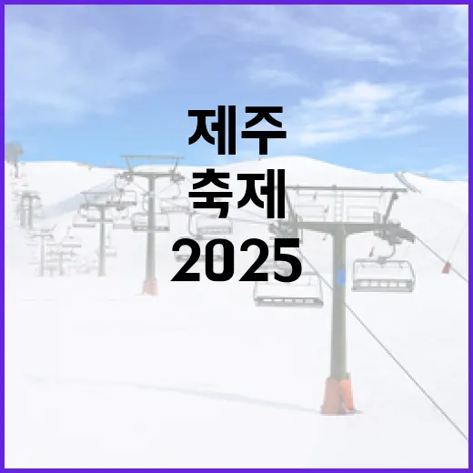 2025 제주 차 없는 거리 자전거 걷기 축제