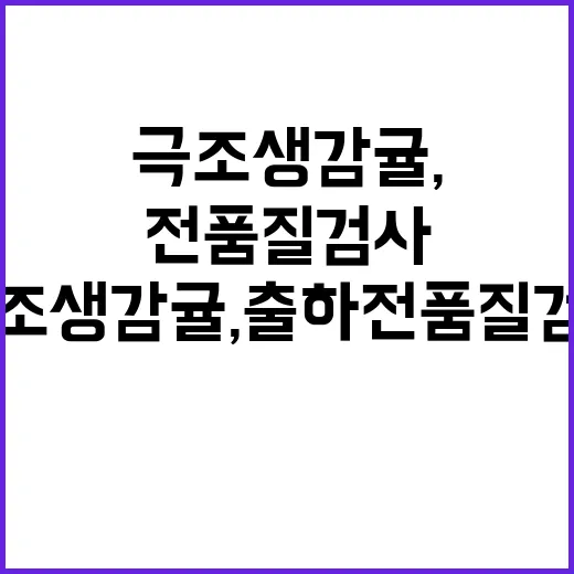 극조생 감귤, 출하…