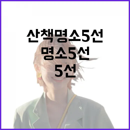 전남 밤길 산책 명소 5선