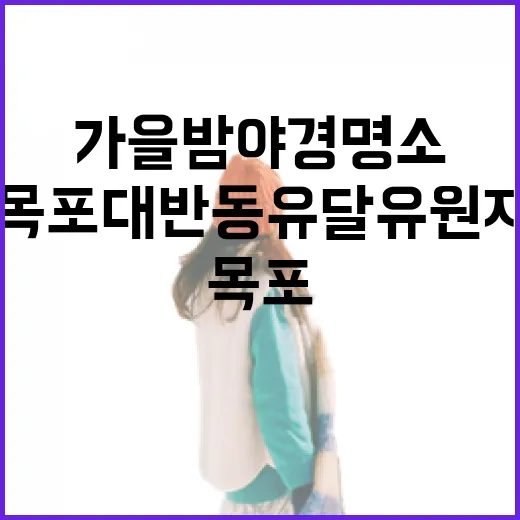 목포 대반동 유달유원지 가을밤 야경 명소