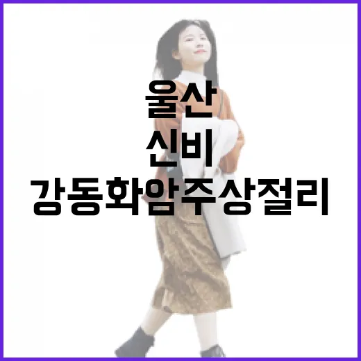 울산 강동 화암 주상절리 2000만년의 신비