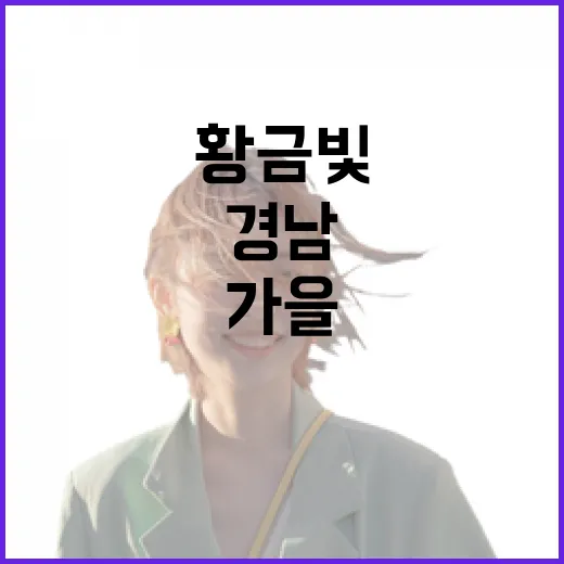 부산서 만나는 경남 가을의 황금빛 매력