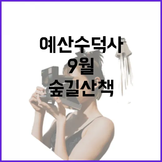 예산 수덕사, 9월 숲길 산책의 힐링 명소