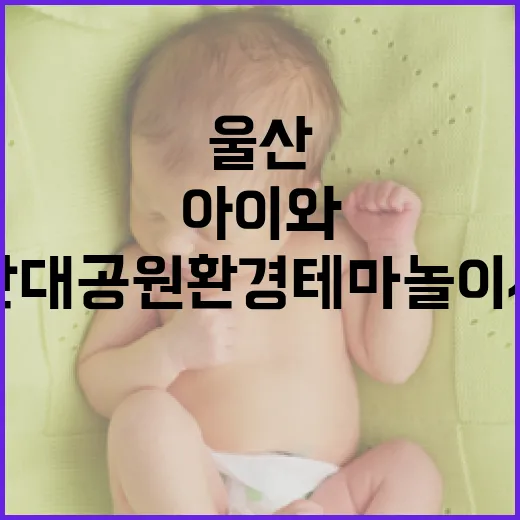 울산대공원 환경테마 놀이시설 아이와 나들이 명소