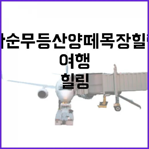 화순 무등산 양떼목장 힐링 여행