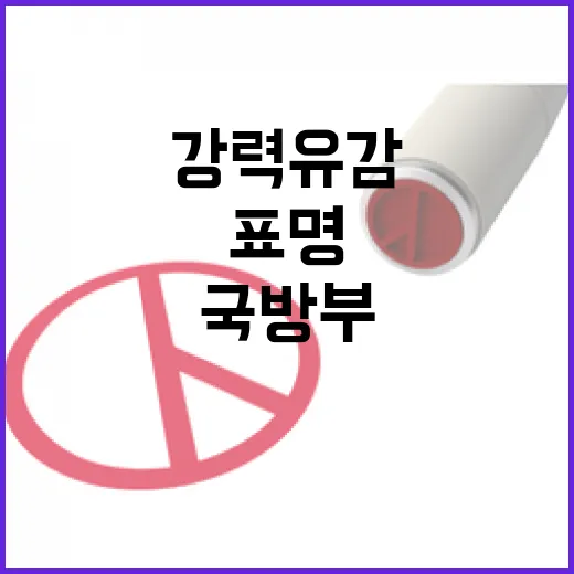 국방부, 허위 주장에 강력 유감 표명