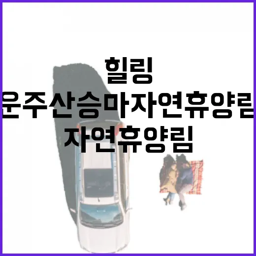 운주산승마자연휴양림 힐링 산책길